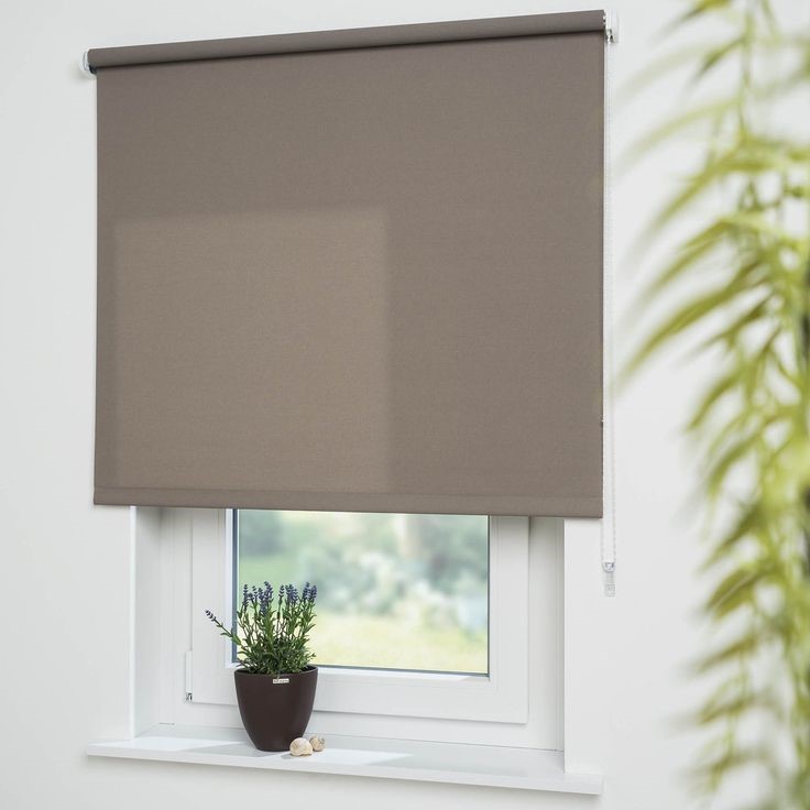 roller blinds nz